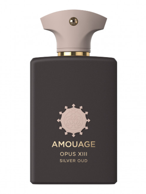 Парфюмерная вода Opus XIII Silver Oud, 100 мл Amouage - Общий вид