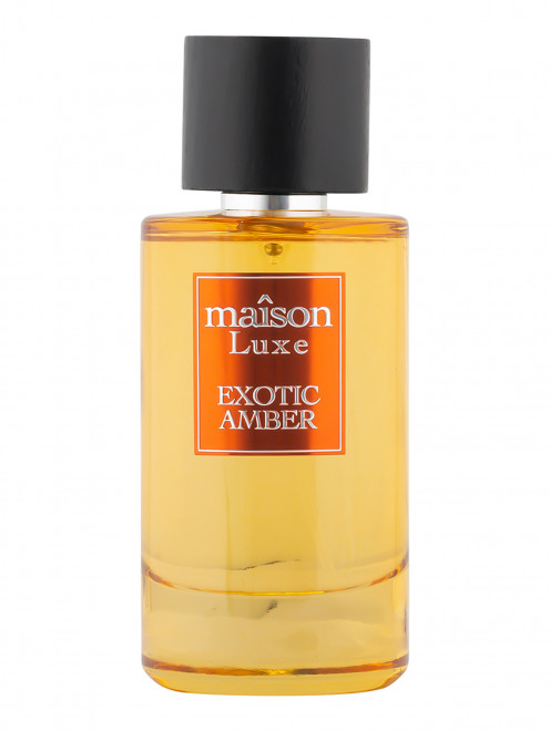 Парфюмерная вода Hamidi Maison Luxe Exotic Aamber, 110 мл Sterling Perfumes - Общий вид