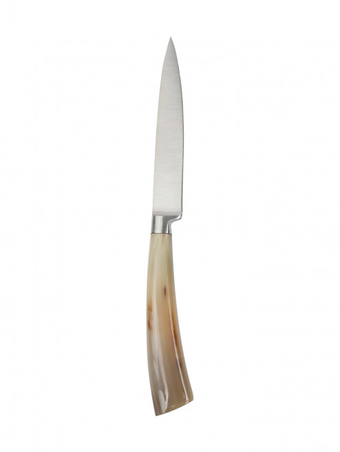 Нож с деревянной подставкой Coltellerie Berti - Общий вид