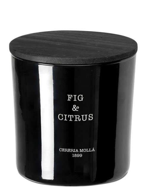 Свеча Fig & Citrus, 600 г XL, 3 фитиля, 600 г Cereria Molla 1889 - Общий вид