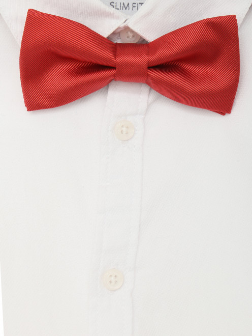 Шелковая галстук-бабочка Dal Lago - МодельОбщийВид