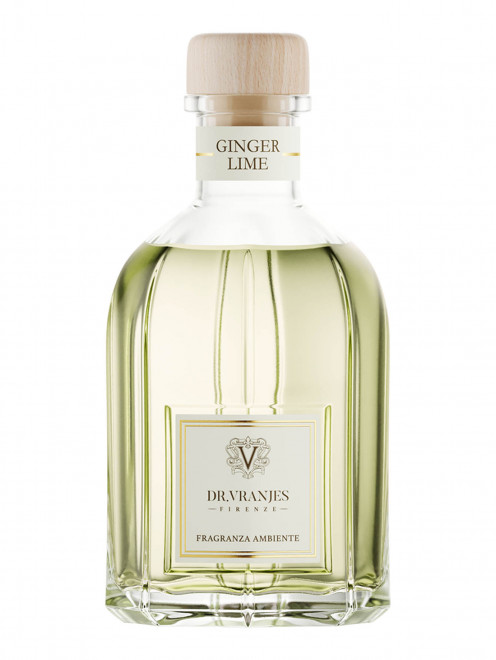 Ароматический диффузор Ginger Lime, 250 мл Dr. Vranjes - Деталь