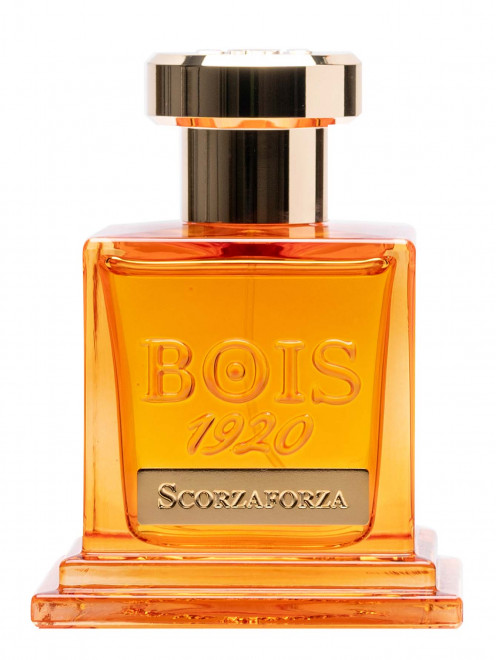 Парфюмерная вода Scorzaforza, 100 мл Bois 1920 - Общий вид