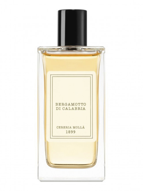 Рум-спрей для дома Bergamotto di Calabria, 100 мл Cereria Molla 1889 - Общий вид