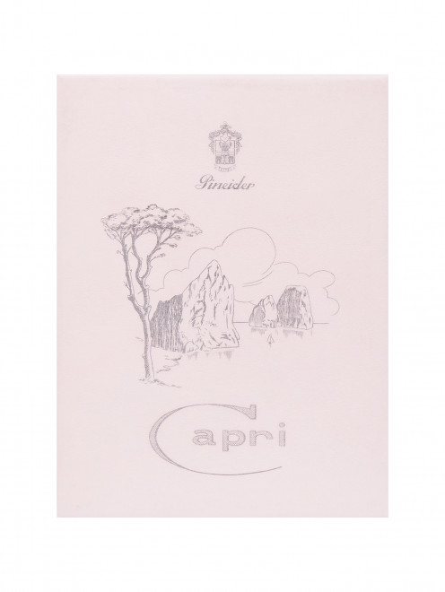 Футляр Capri на 25 открыток и 25 конвертов Pineider - Общий вид