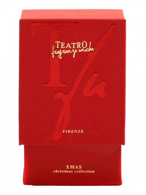 Диффузор с палочками Xmas, 500 мл Teatro Fragranze - Обтравка1