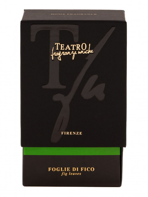 Диффузор с палочками Foglie Di Fico, 500 мл Teatro Fragranze - Обтравка1