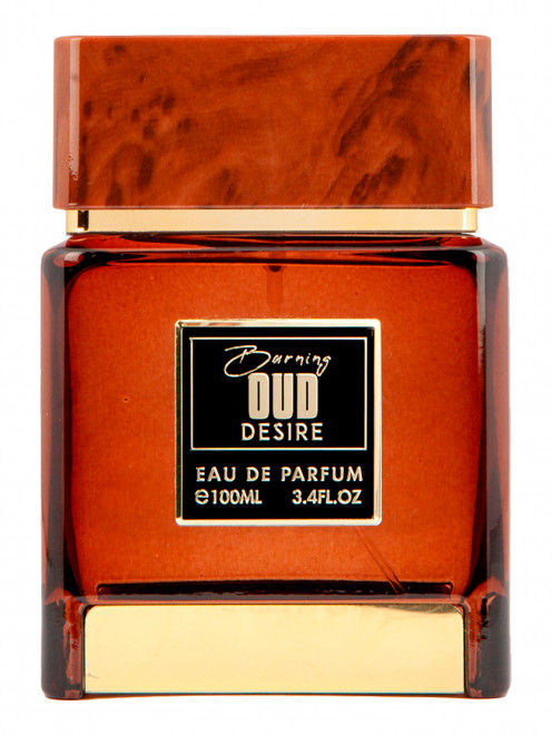 Парфюмерная вода Flavia Burning Oud Desire, 100 мл Sterling Perfumes - Общий вид