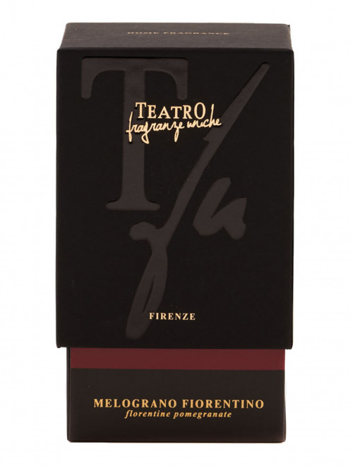 Диффузор с палочками Melograno Fiorentino, 500 мл Teatro Fragranze - Обтравка1