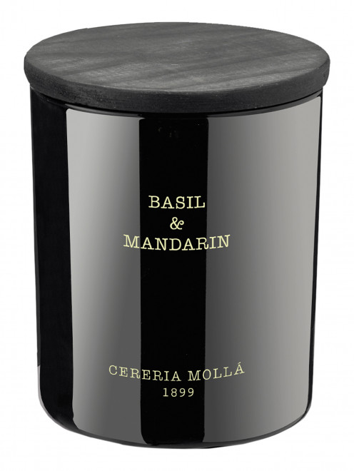 Свеча Basil & Mandarin, 230 г Cereria Molla 1889 - Общий вид