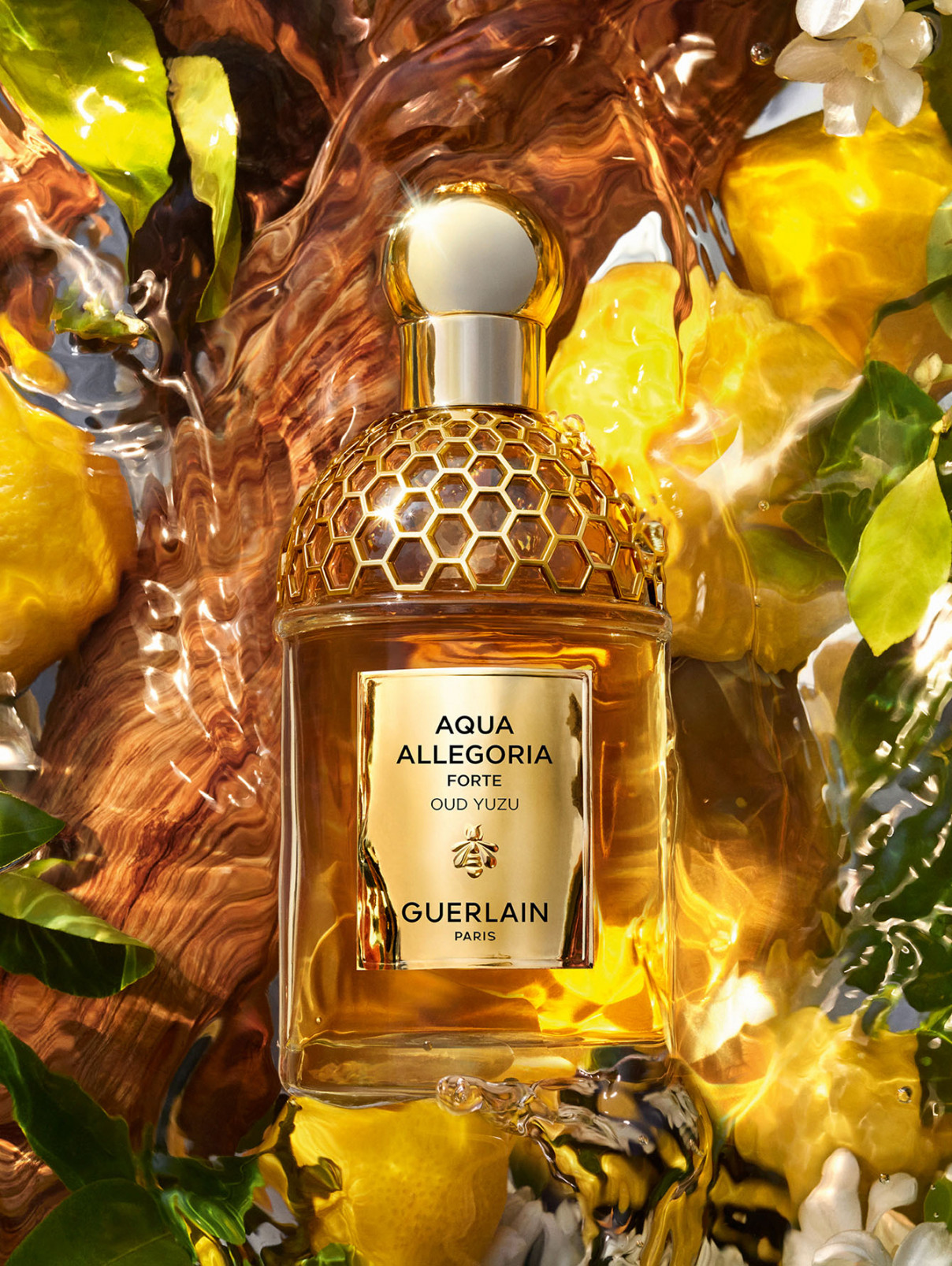 Guerlain парфюмерная вод aqua allegoria forte oud yuzu, 75 мл (732389),  купить в интернет-магазине Bosco.ru по цене 12 900 ₽