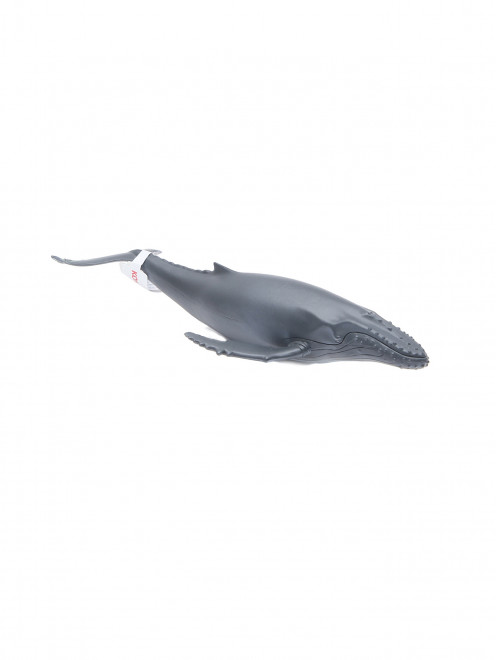 Горбатый кит Konik Science - Общий вид