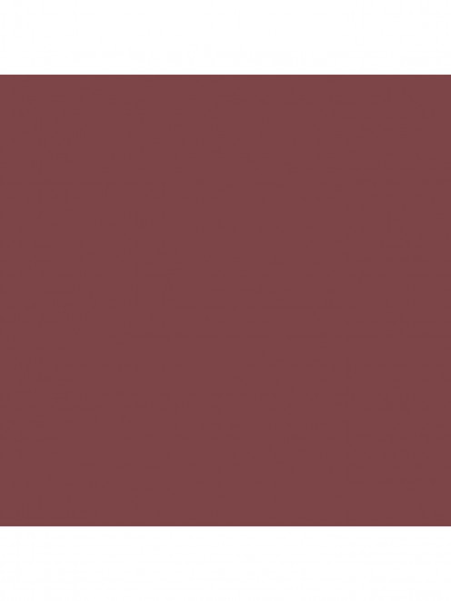 Помада для губ Slim Lip Color Shine, оттенок 157 Go-See Tom Ford - Обтравка1