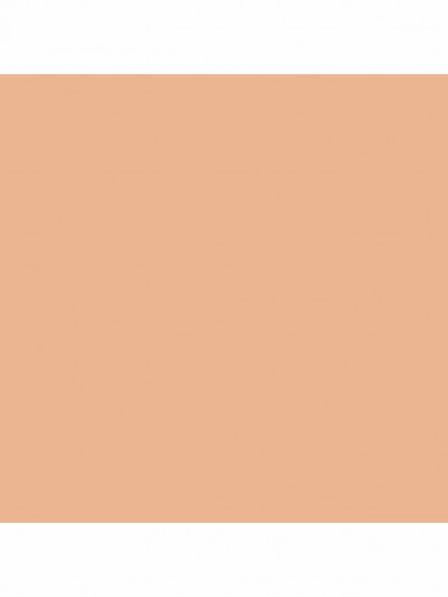 Тональная основа Studio Waterweight Foundation SPF 30, оттенок NW 22, 30 мл Mac - Обтравка1
