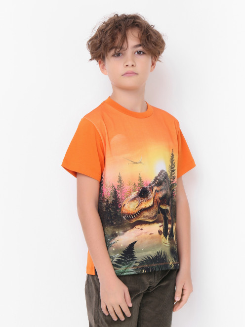 Хлопковая футболка с узором Molo - МодельВерхНиз
