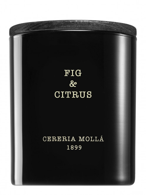 Свеча Fig & Citrus, 230 г Cereria Molla 1889 - Общий вид