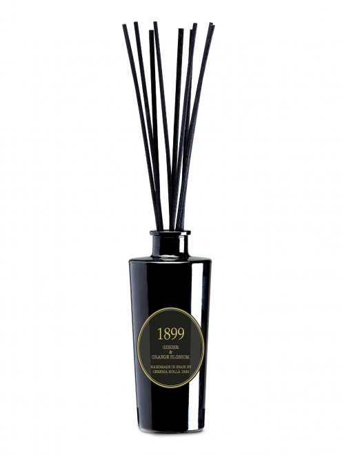 Диффузор с палочками Ginger & Orange Blossom, 100 мл Cereria Molla 1889 - Общий вид