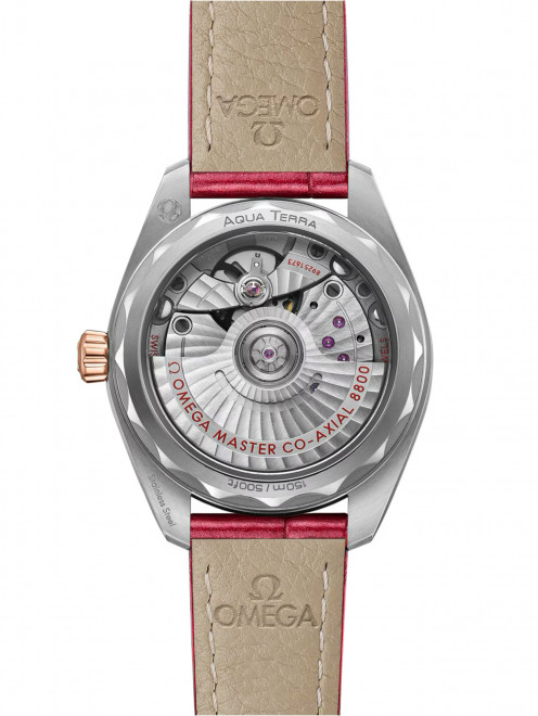 Часы Seamaster Aqua Terra Omega - Обтравка1