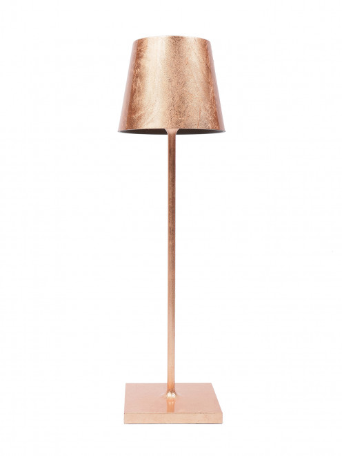 Настольный светильник из металла Zafferano - Общий вид