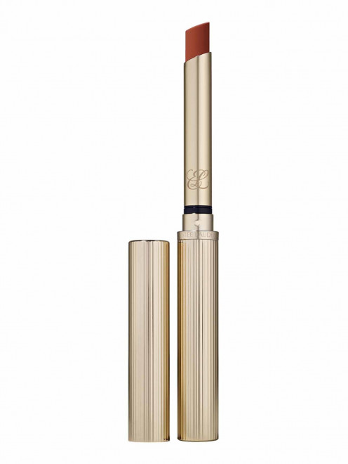 Матовая губная помада Pure Color Explicit Silk Matte, оттенок 106 Double Or Nothing Estee Lauder - Общий вид