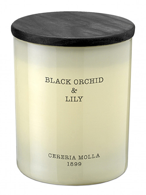 Свеча Black Orchid & Lily 230 г Cereria Molla 1889 - Общий вид