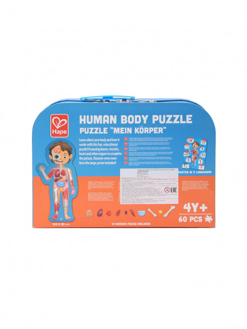 Детский пазл-игрушка "Как устроено тело человека" Hape - Обтравка1