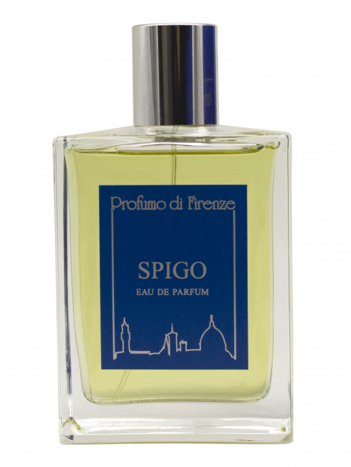 Парфюмированная вода Spigo, 100 мл Profumo di Firenze - Общий вид