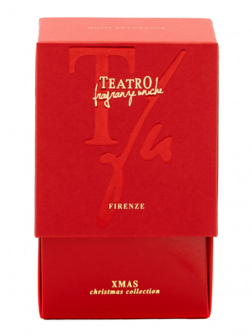 Диффузор с палочками Xmas, 250 мл Teatro Fragranze - Обтравка1