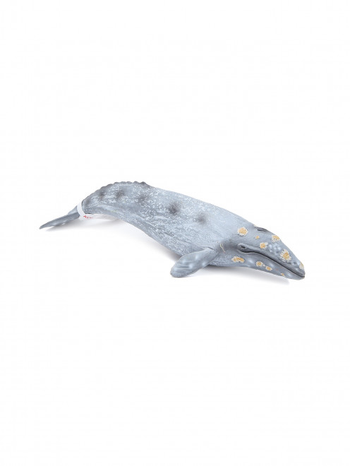Серый кит Konik Science - Обтравка1