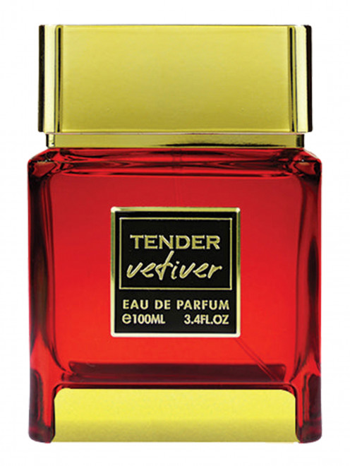 Парфюмерная вода Flavia Tender Vetiver, 100 мл Sterling Perfumes - Общий вид