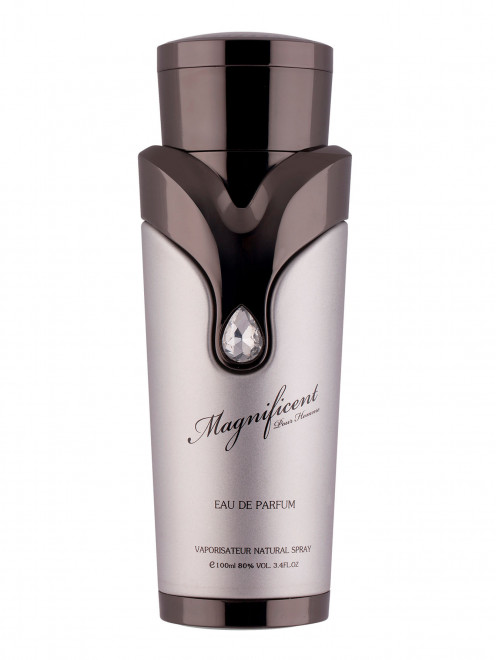 Парфюмерная вода Armaf Magnificent Pour Homme, 100 мл Sterling Perfumes - Общий вид