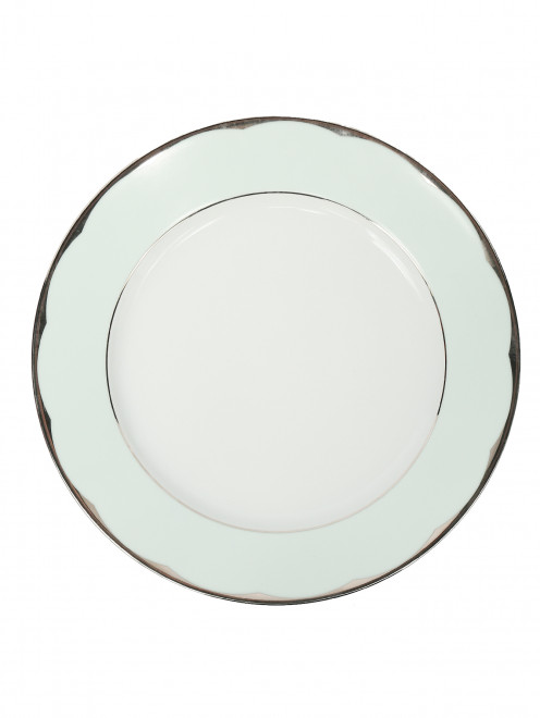 Тарелка обеденная из фарфора с окантовкой Haviland - Общий вид
