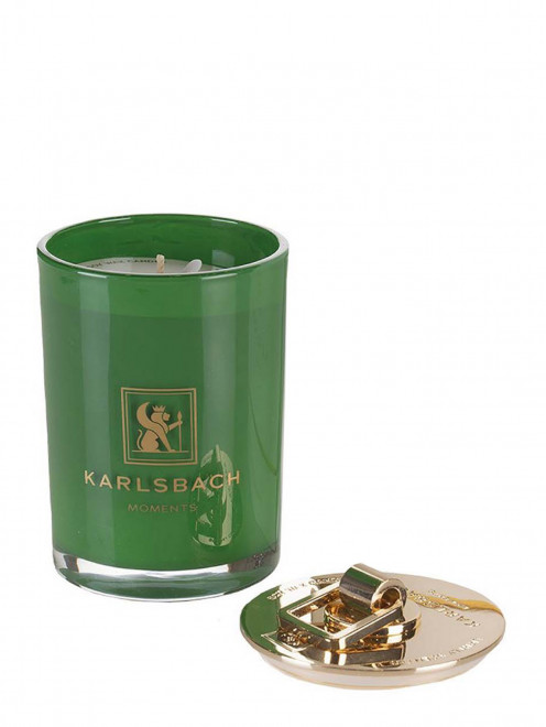 Свеча Green Branches Magnalia, 270 г Karlsbach - Общий вид