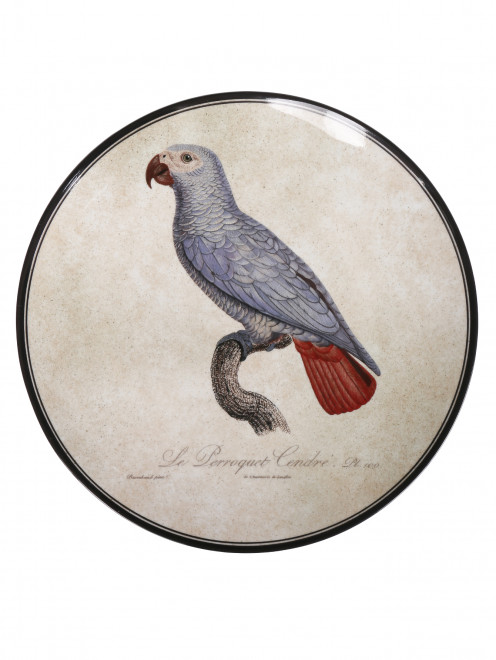Тарелка из фарфора с узором Ginori 1735 - Общий вид