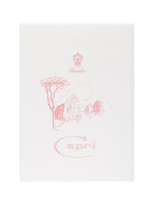 Футляр Capri на 50 открыток и 50 конвертов Pineider - Общий вид