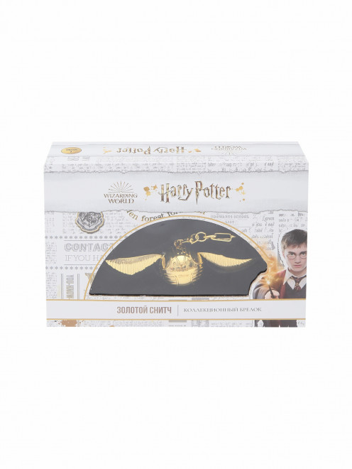 Коллекционный металлический брелок Гарри Поттер Wizarding World - Общий вид