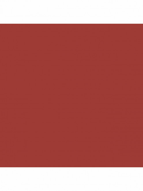 Помада для губ Slim Lip Color Shine, оттенок 155 Atelier Red Tom Ford - Обтравка1