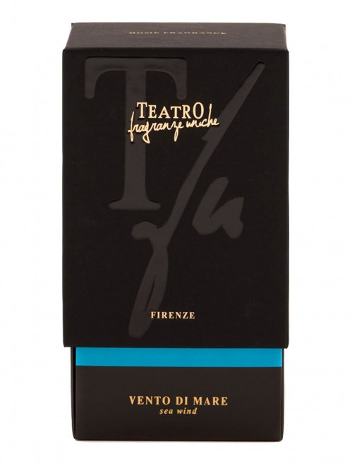 Диффузор с палочками Vento Di Mare, 500 мл Teatro Fragranze - Обтравка1