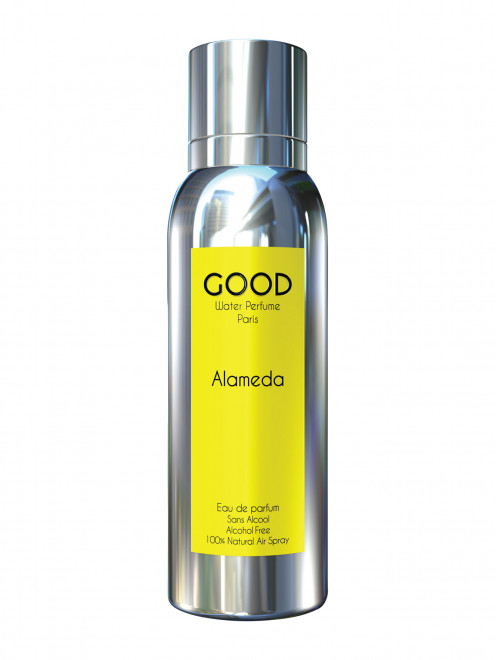 Парфюмированная вода Alameda, 100 мл Good Water Perfume - Общий вид