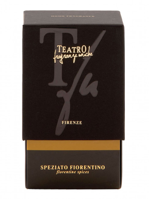 Диффузор с палочками Speziato Fiorentino, 250 мл Teatro Fragranze - Обтравка1