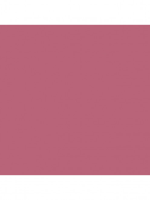Карандаш для губ Lip Pencil, оттенок Soar Mac - Обтравка1