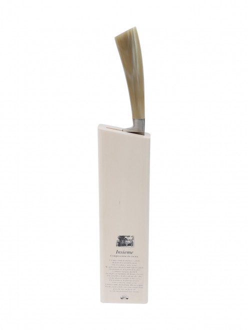 Нож разделочный с деревянной подставкой Coltellerie Berti - Общий вид