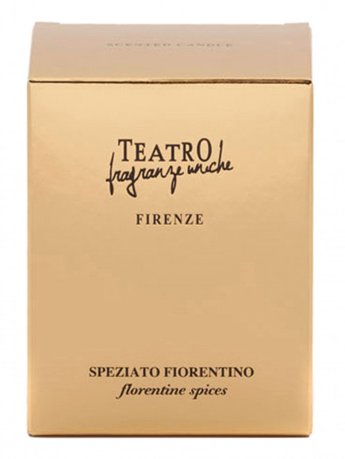Ароматическая свеча Speziato Fiorentino, 180 г Teatro Fragranze - Обтравка1