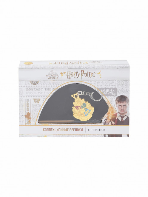 Коллекционный набор брелоков Гарри Поттер Wizarding World - Общий вид