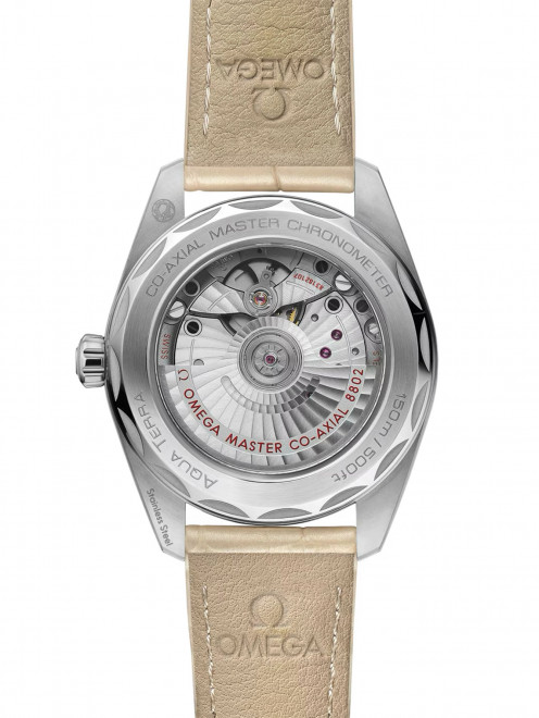 Часы Seamaster Aqua Terra Omega - Обтравка1